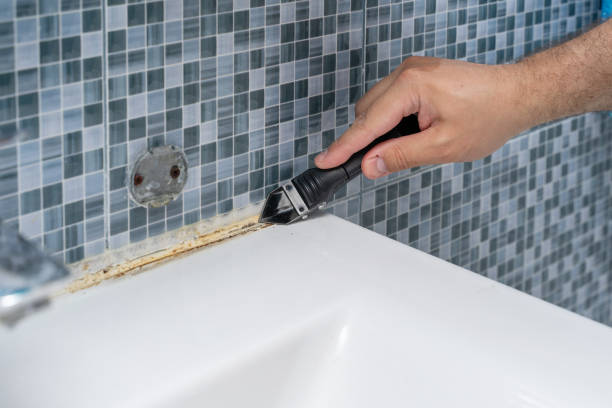 Best Residential Mold Remediation in Atkinson, IL